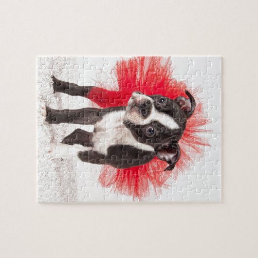 Boston Dancer Legpuzzel (Horizontaal)