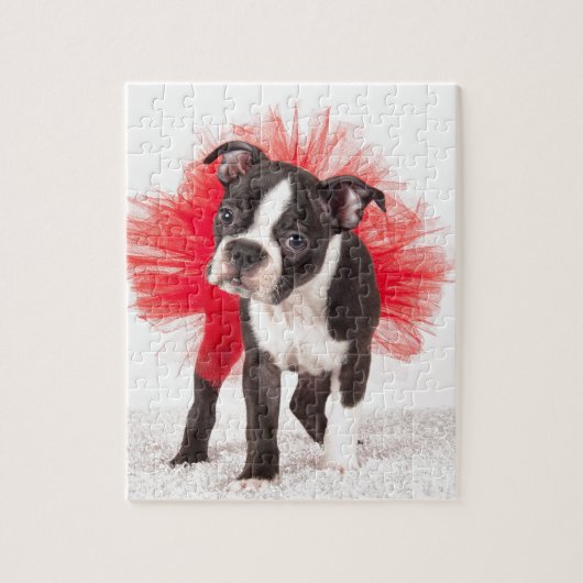 Boston Dancer Legpuzzel (Verticaal)