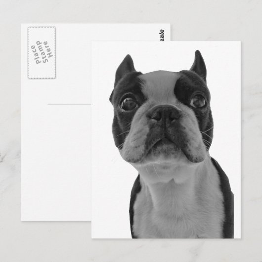 Boston dooder briefkaart (Voorkant / Achterkant)