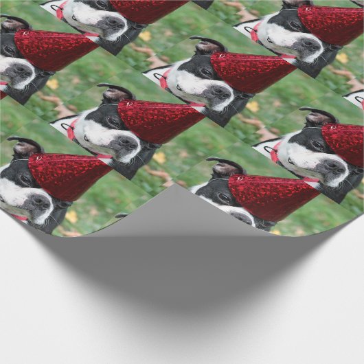 Boston dooder cadeaupapier (Hoek)