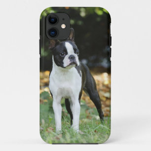 Boston dooder Case-Mate iPhone case