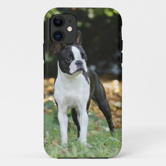 Boston dooder Case-Mate iPhone case (Achterkant)