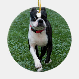 Boston dooder keramisch ornament