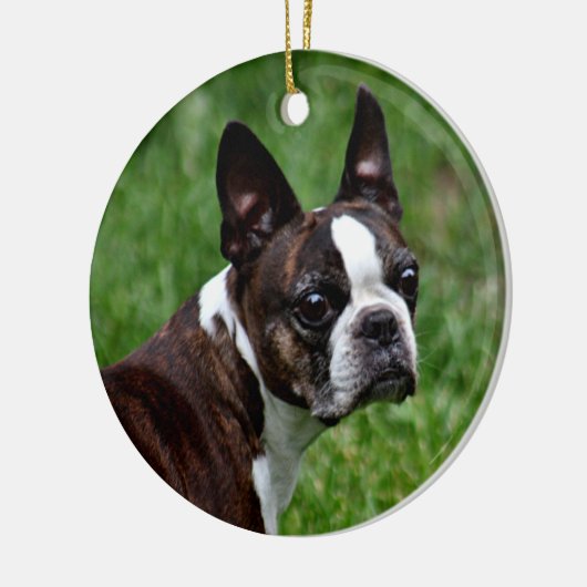 Boston dooder keramisch ornament (Links)