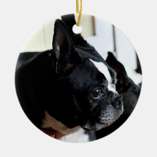 Boston dooder keramisch ornament