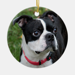 Boston dooder keramisch ornament