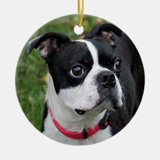 Boston dooder keramisch ornament (Voorkant)