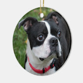 Boston dooder keramisch ornament (Links)
