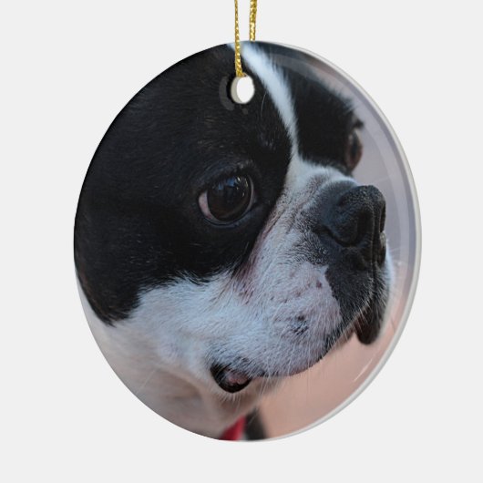 Boston dooder keramisch ornament (Links)