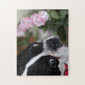 Boston dooder legpuzzel (Verticaal)