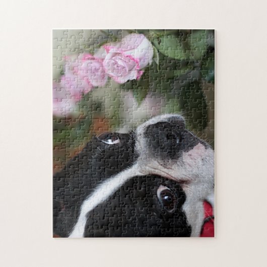 Boston dooder legpuzzel (Verticaal)