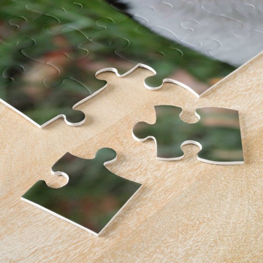 Boston dooder legpuzzel (Zijkant)