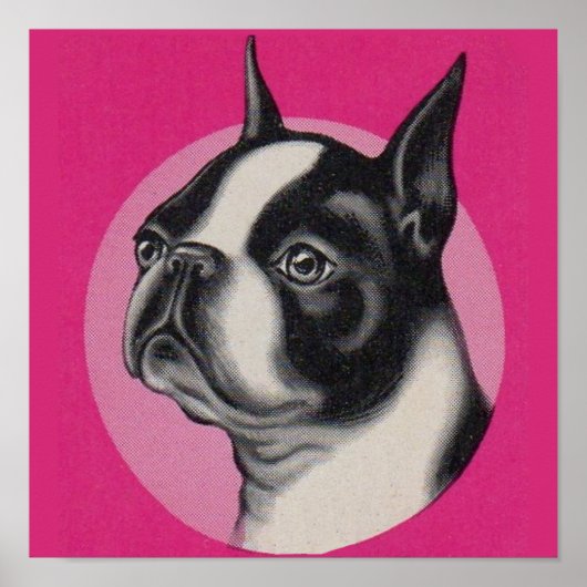 Boston dooder poster (Voorkant)
