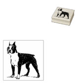 Boston dooder rubberstempel (Gestempeld)