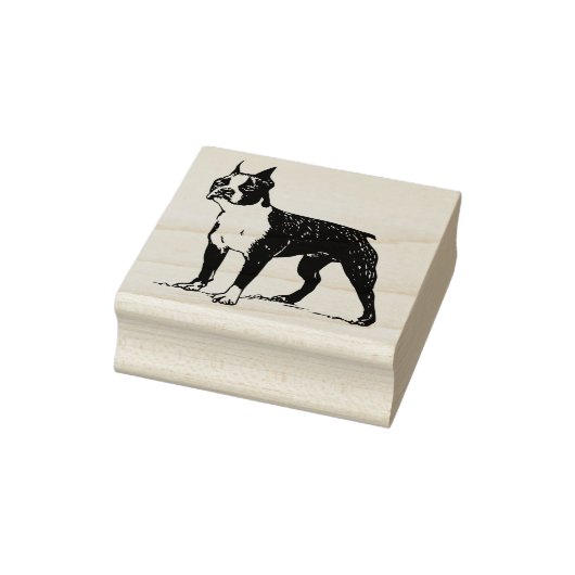 Boston dooder rubberstempel (Stempel)