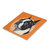 Boston dooder tegeltje (Zijkant)