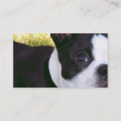 boston-doodsbang-1 visitekaartje (Achterkant)