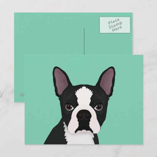 boston doodse cartoon briefkaart (Voorkant / Achterkant)