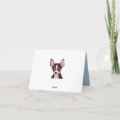 boston doodse cartoon kaart (Achterkant)