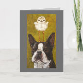 boston- en ploverkaart kaart (Voorkant)