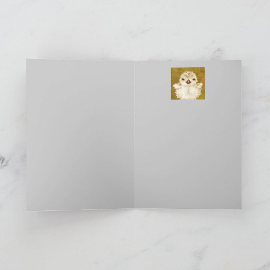 boston- en ploverkaart kaart (Binnen)