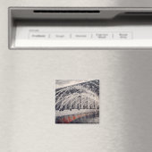 Boston Fountains Magnet (Insitu (Vaatwasser))
