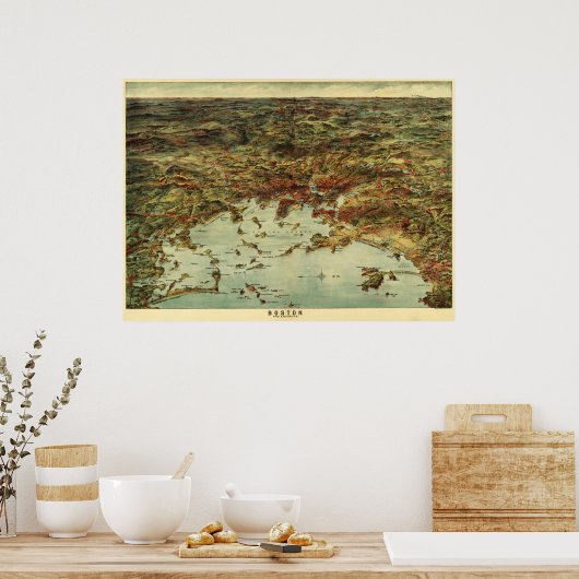 Boston Harbor Birdseye Poster (Keuken)