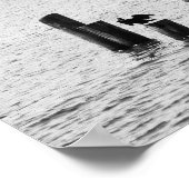 Boston Harbour Birds Poster (Hoek)