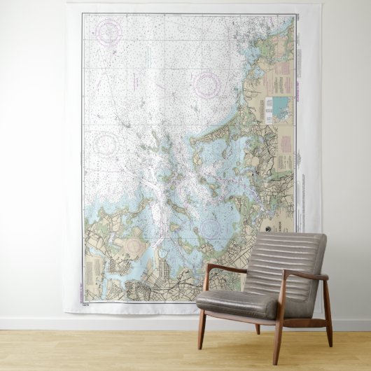 Boston Harbour Nautical Chart 13270 Wandkleed (In situ)