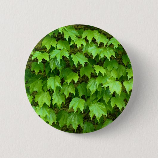 Boston Ivy Badge Ronde Button 5,7 Cm (Voorkant)