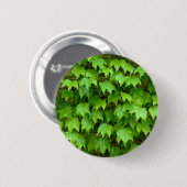 Boston Ivy Badge Ronde Button 5,7 Cm (Voorkant /achterkant)