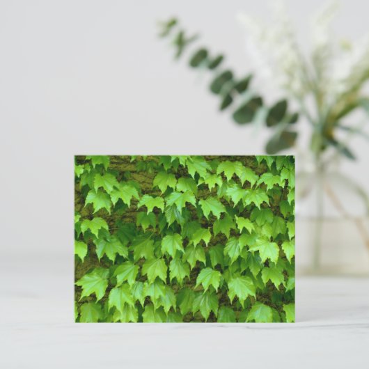 Boston Ivy Briefkaart (Staand voorkant)