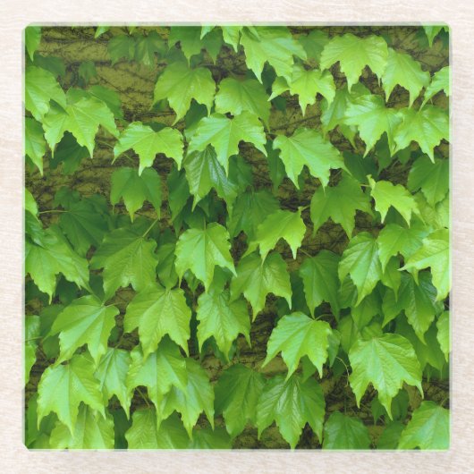 Boston Ivy Glazen Onderzetter (Voorkant)
