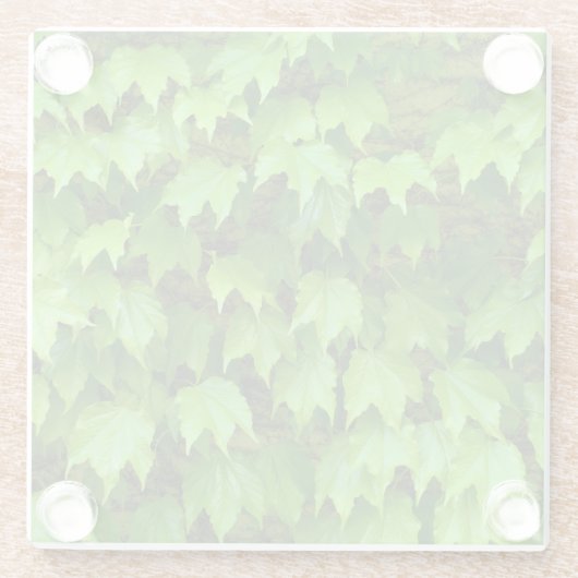 Boston Ivy Glazen Onderzetter (Achterkant)