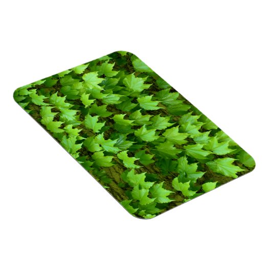 Boston Ivy Magneet (Rechterzijde)