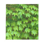 Boston Ivy Notitieblok (Voorkant)