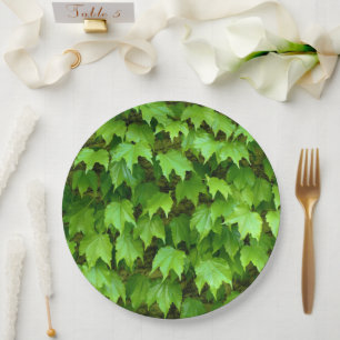 Boston Ivy Paper Bord