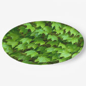 Boston Ivy Paper Bord (Gekanteld)