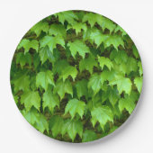 Boston Ivy Paper Bord (Voorkant)