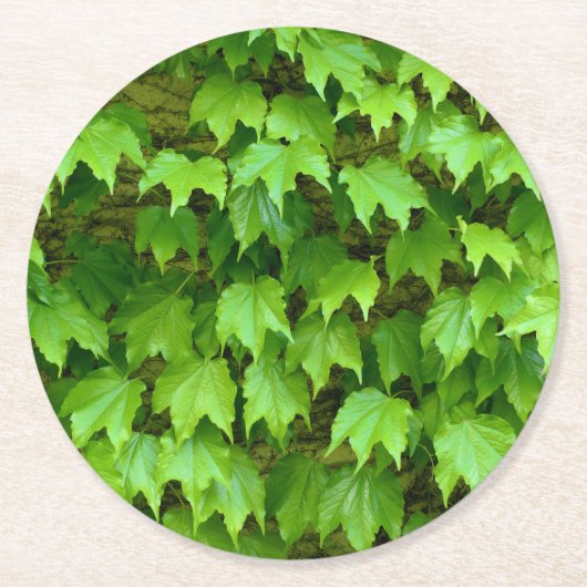 Boston Ivy Ronde Kartonnen Onderzetter (Voorkant)