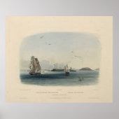 Boston Lighthouse: Historic Karl Bodmer Print (Voorkant)