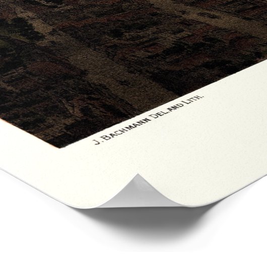 Boston, MA Panoramic Map - 1877 Poster (Hoek)