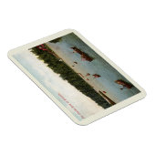 Boston MA, The Charles River aan Riverside,  Magneet (Rechterzijde)