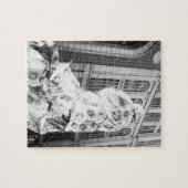Boston, MA VS, Hardloper in Foil Boston Marathon Legpuzzel (Horizontaal)