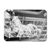 Boston, MA VS, Hardloper in Foil Boston Marathon Magneet (Horizontaal)