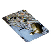 Boston - maak plaats voor slangen magneet (Rechterzijde)