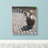 Boston maakt plaats voor eendjes canvas afdruk (Insitu (Houten vloer))