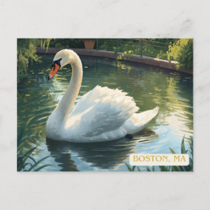 Boston, Mass. Openbare Tuin Zwaan Postkaart