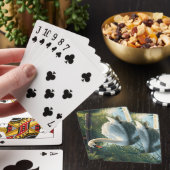 Boston, Mass. Public Garden Zwanenspeelkaarten Pokerkaarten (Insitu)