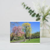 Boston, Massachusetts - Boston Gardens Post Card Briefkaart (Staand voorkant)